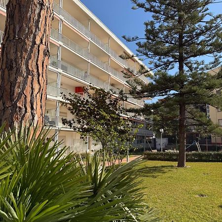 Apartamentos Hesperia Palmyra サロウ エクステリア 写真