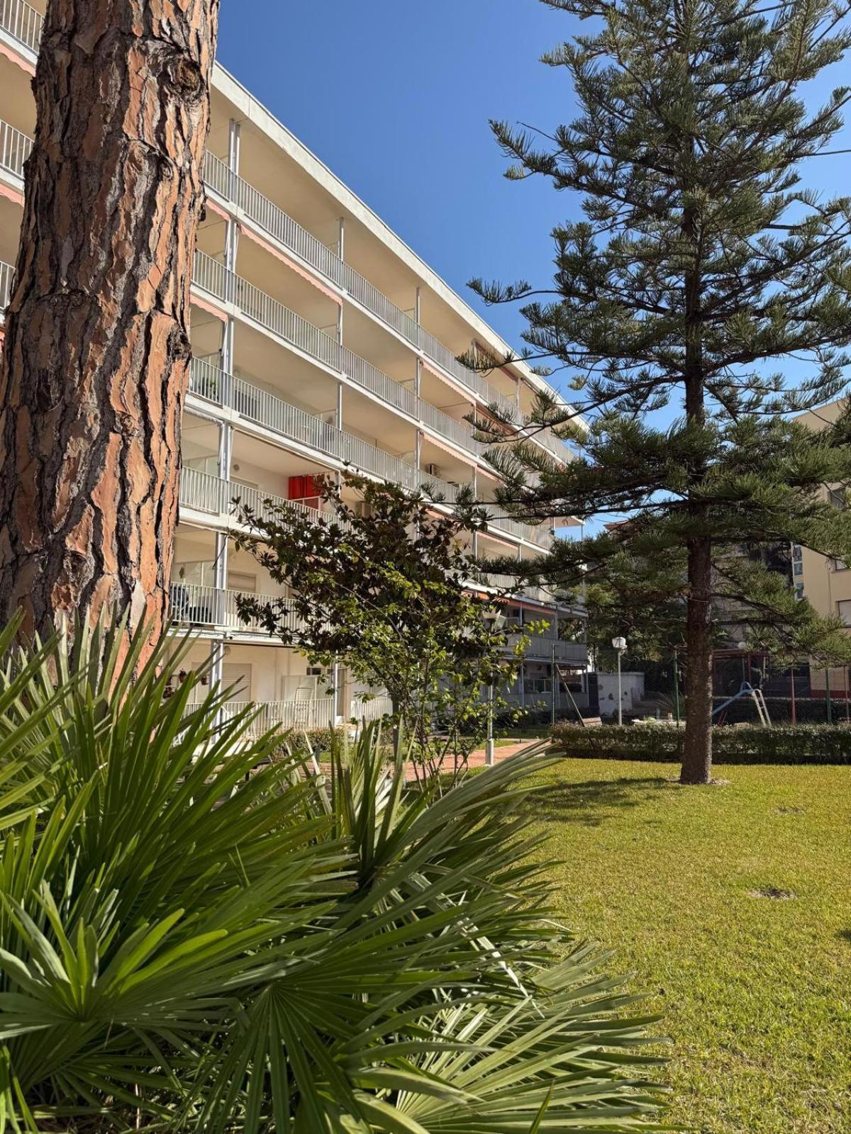 Apartamentos Hesperia Palmyra サロウ エクステリア 写真