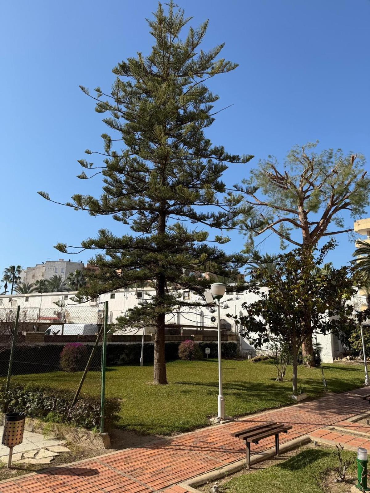 Apartamentos Hesperia Palmyra サロウ エクステリア 写真
